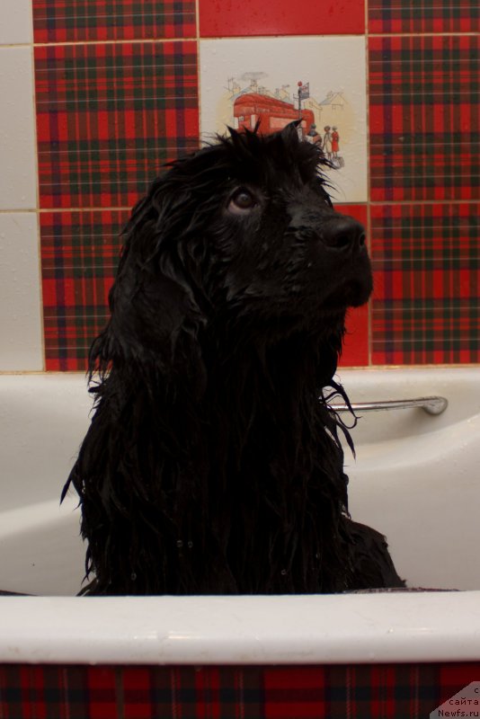 Фото: Natal'ya Emeel'yanova (Наталья Емеельянова)