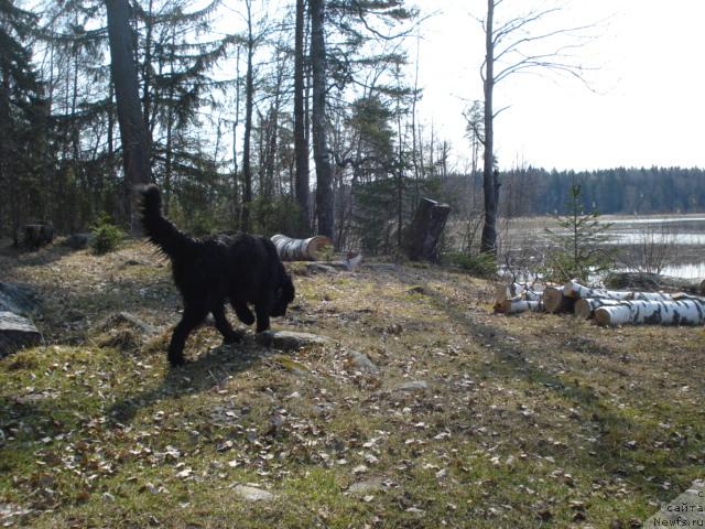 Фотография № 12475