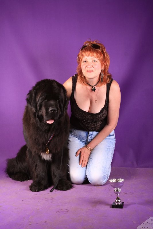 Фотография № 124771