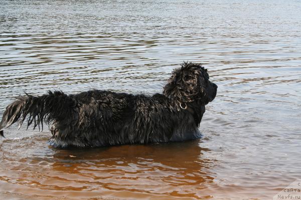 Фотография № 12482