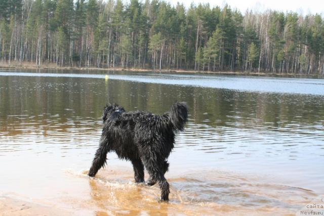 Фотография № 12484