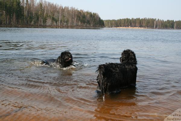 Фотография № 12485