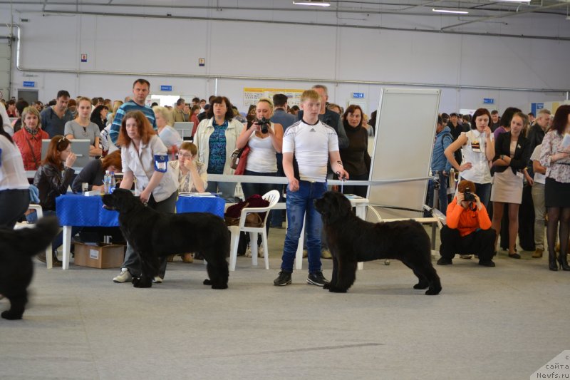 Фотография № 124889