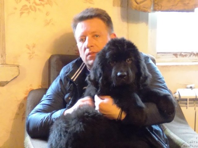 Фотография № 124894