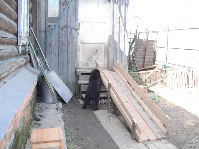 Фотография № 124895