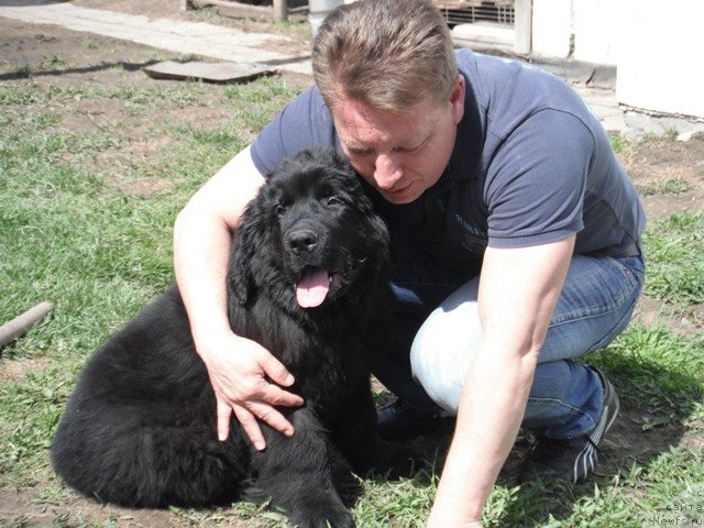 Фотография № 124896