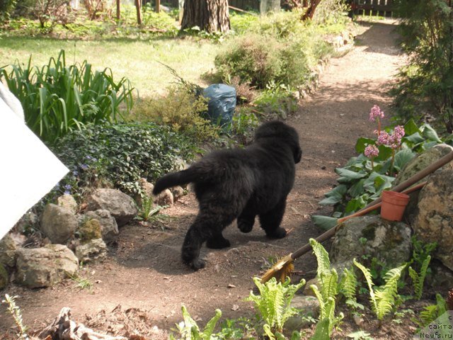 Фотография № 124897