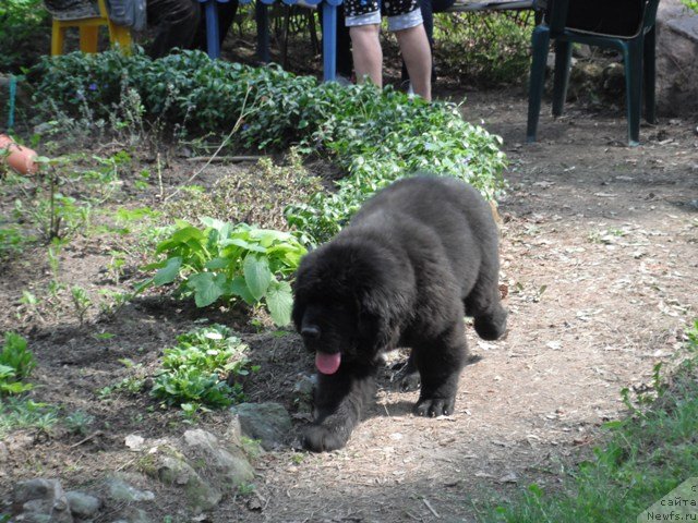 Фотография № 124899