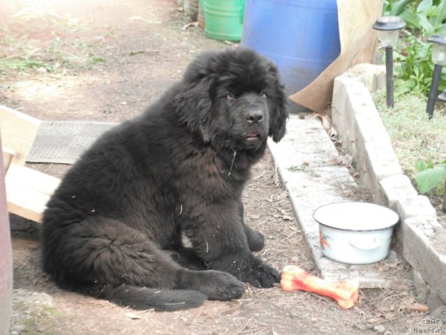 Фотография № 124900