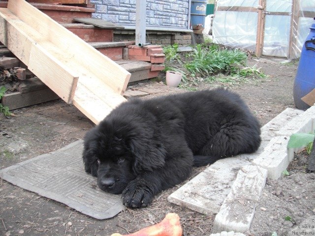 Фотография № 124902