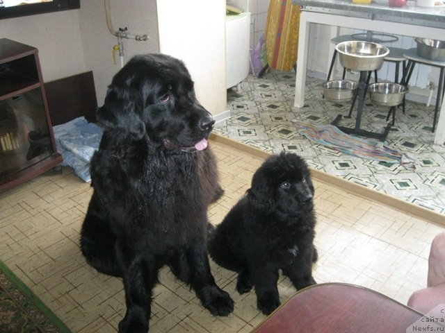 Фотография № 124906