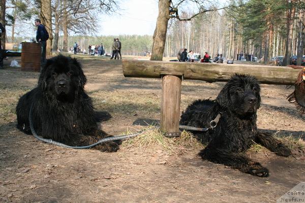 Фотография № 12492