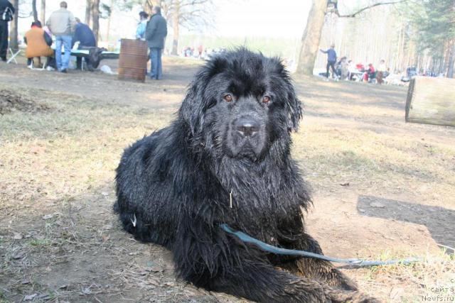 Фотография № 12493