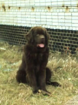 Фото: Итгай