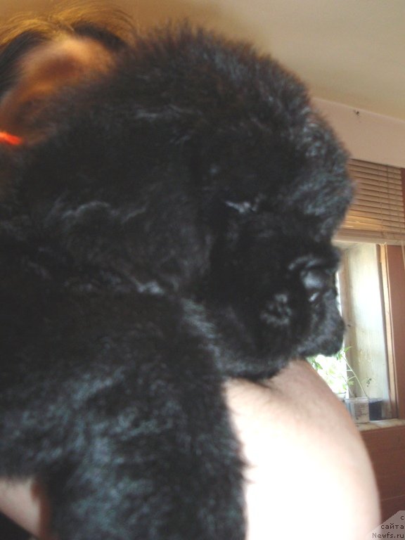 Фото: Irina Panyushkina (Ирина Панюшкина)