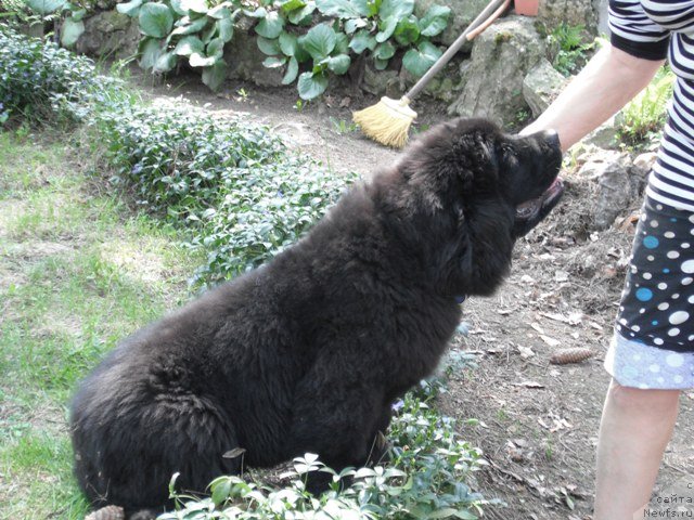 Фотография № 124975