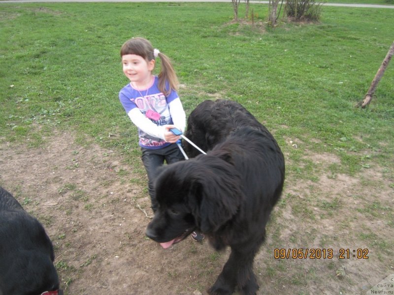 Фотография № 124993