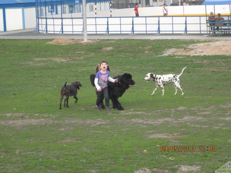 Фотография № 124994