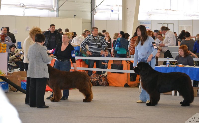 Фотография № 124996