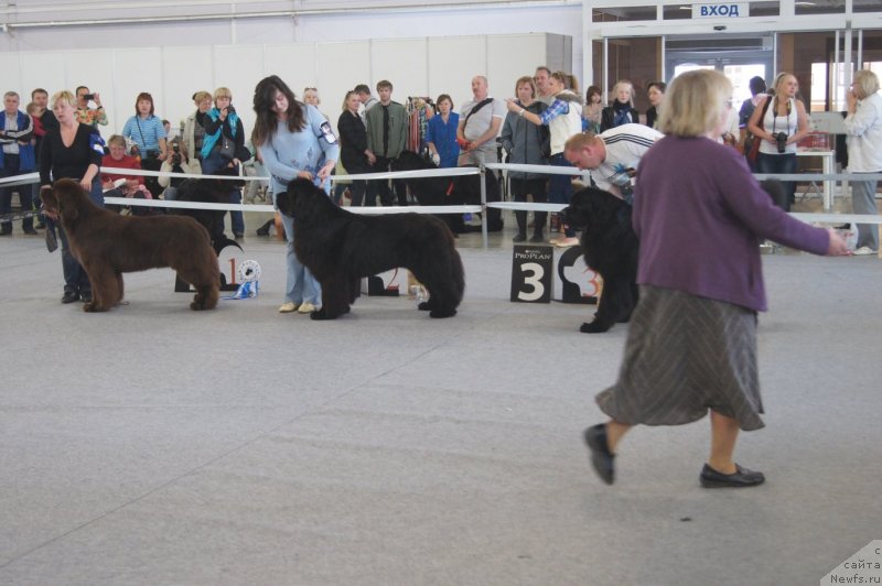 Фотография № 125000