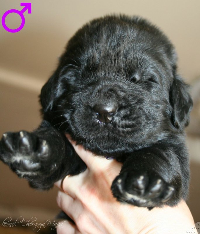 Фотография № 125013