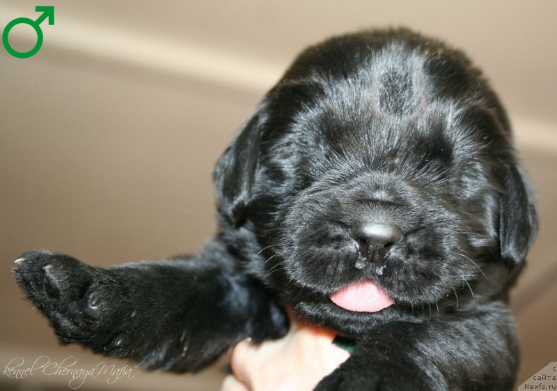 Фотография № 125016