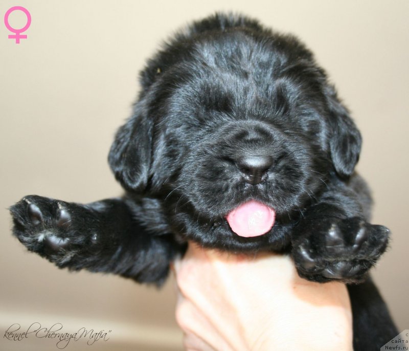 Фотография № 125025