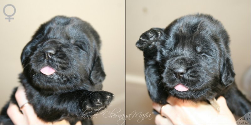 Фотография № 125027