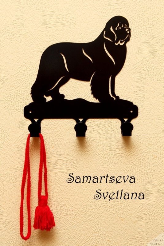 Фотография № 125042