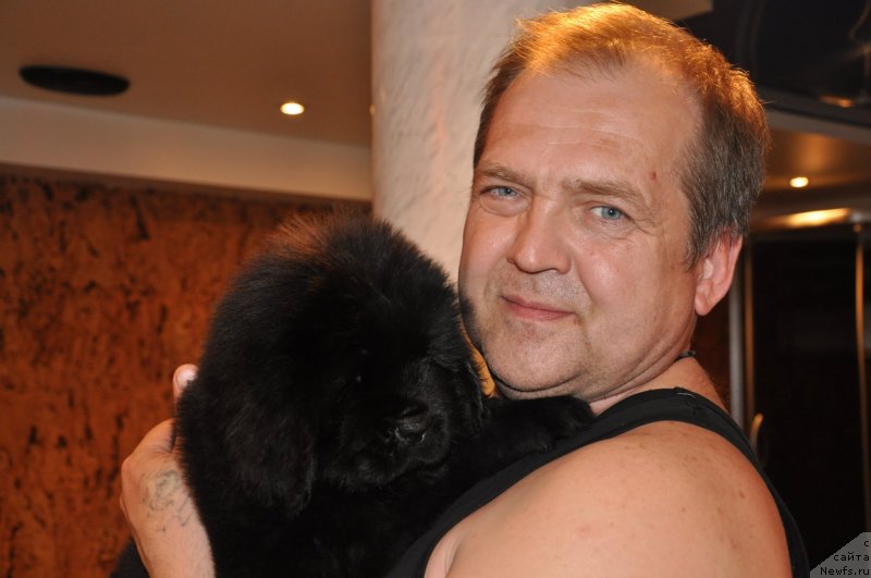 Фото: ньюфаундленд Ih Visochestvo Gloria Airis (Их Высочество Глория Айрис)