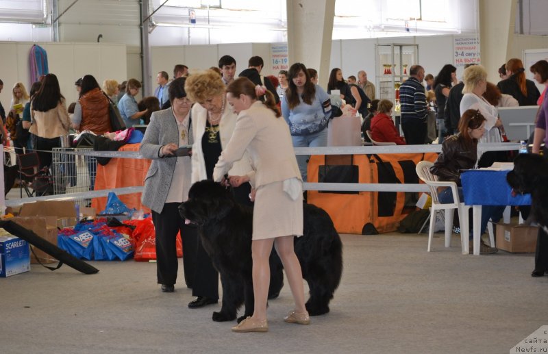 Фотография № 125061