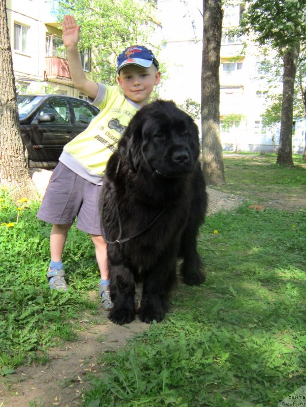 Фотография № 125080