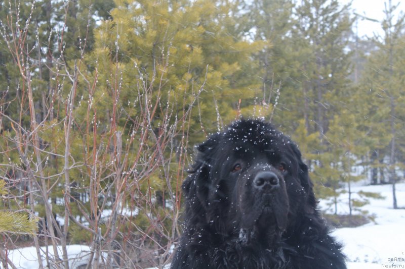 Фотография № 125101