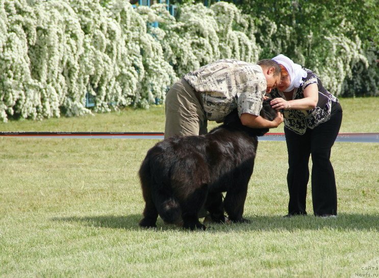 Фотография № 125126