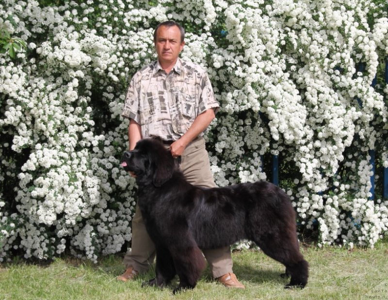 Фотография № 125128