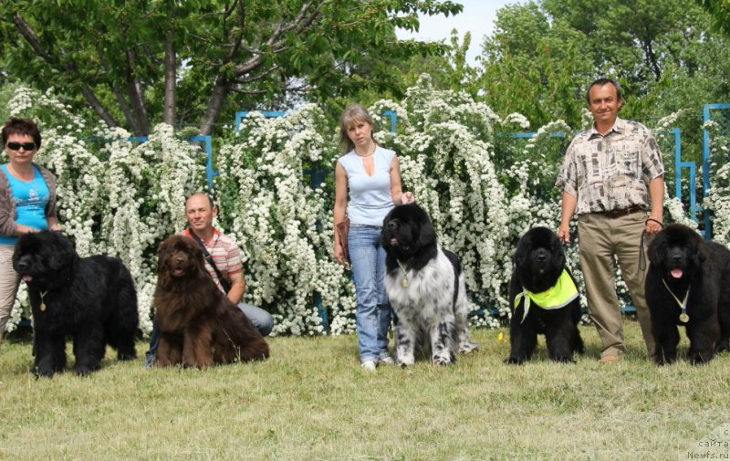 Фотография № 125133