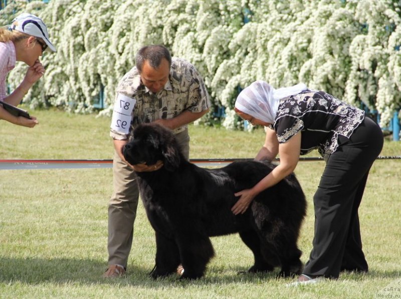 Фотография № 125136