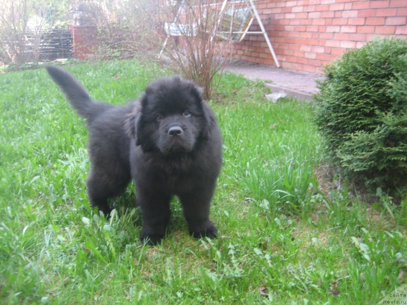 Фотография № 125139