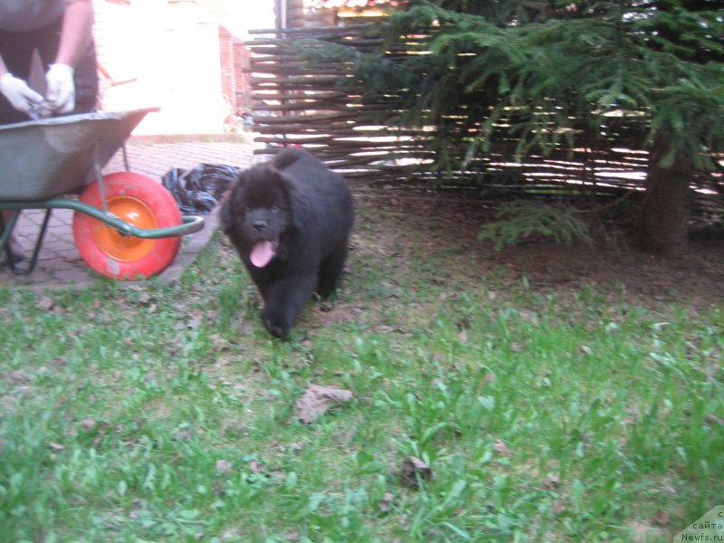 Фотография № 125140