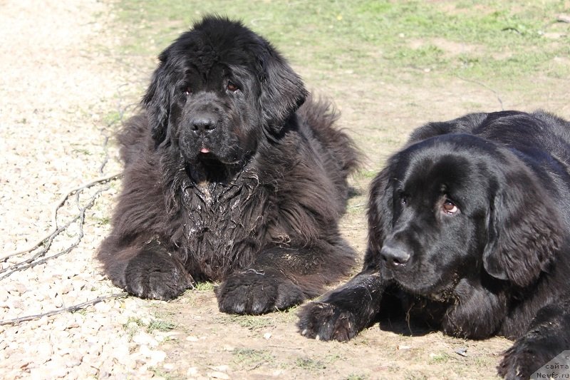 Фотография № 125145