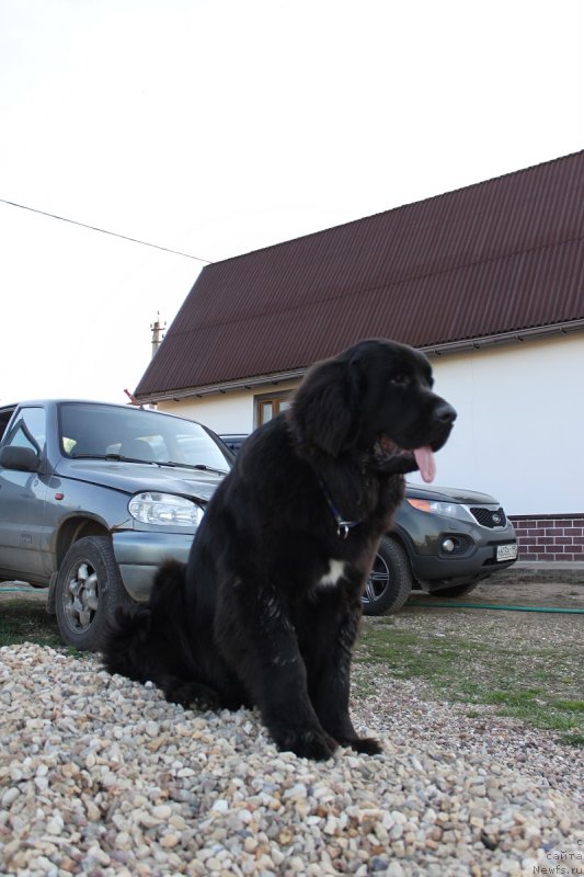 Фотография № 125147