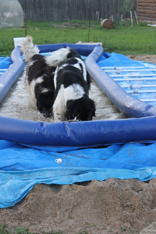 Фотография № 125152