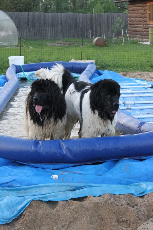 Фотография № 125153