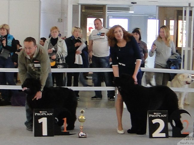 Фотография № 125154