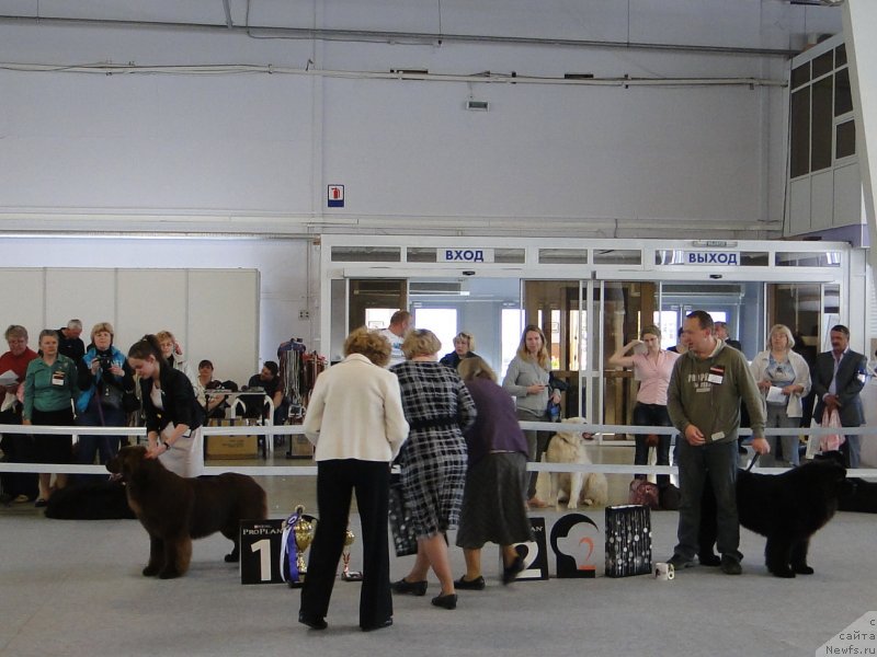 Фотография № 125155