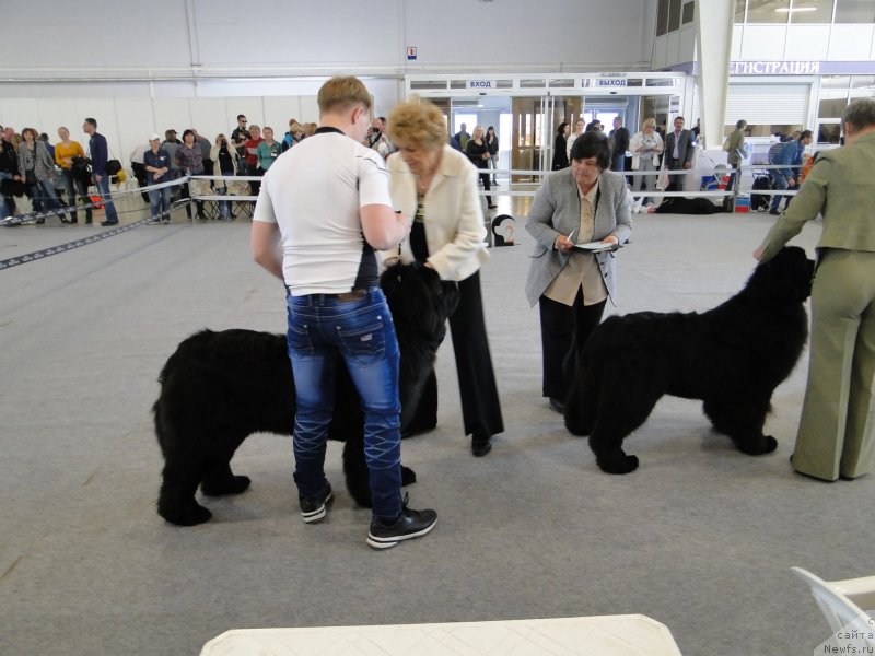 Фотография № 125156