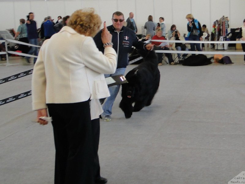 Фотография № 125160