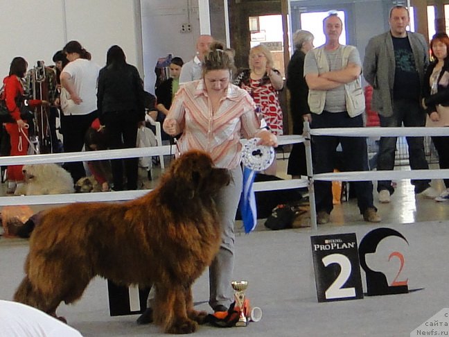 Фотография № 125162