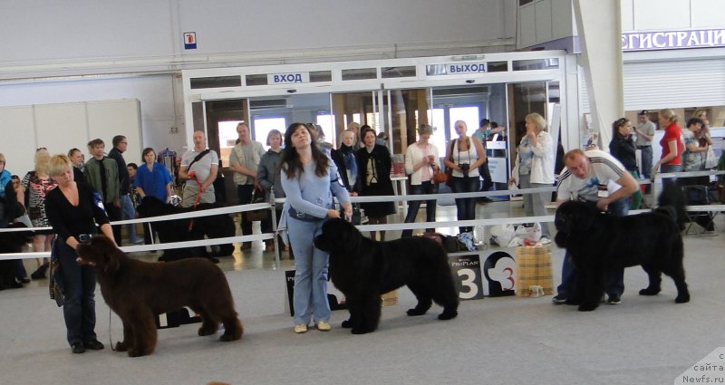 Фотография № 125163