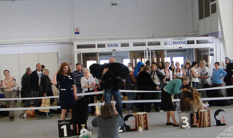 Фотография № 125166